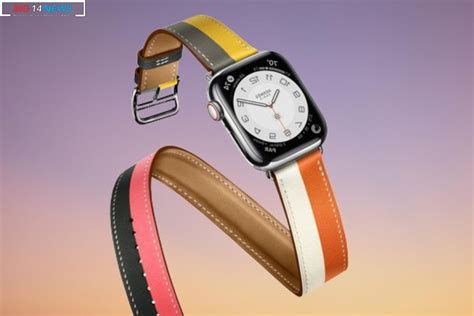 apple hermes partnership impact|apple watch Hermes credit card.